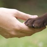 Внимание, конкурс!